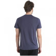 Camiseta funcional de hombre Icebreaker Men Merino Core SS Tee Waschbar Wandering