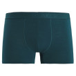 Calzoncillos bóxer para hombre Icebreaker Anatomica Cool-Lite Boxers verde Green Glory