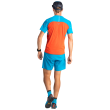 Camiseta de hombre Dynafit Alpine Pro M S/S Tee