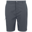 Pantalones cortos de hombre Regatta Dalry Short gris Seal Grey