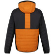 Chaqueta de hombre Regatta Trutton II