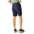 Pantalones cortos de hombre Regatta Dalry Short