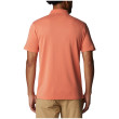 Camiseta de hombre Columbia Nelson Point Polo