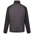 Chaqueta de hombre Regatta Clumber IV Hybrid