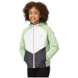 Chaqueta para niños Regatta Kielder HybridVII