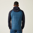 Chaqueta de hombre Regatta Andreson VIII Hybrid