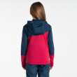 Sudadera para niños Dare 2b Thriving III Core Stretch