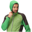 Sudadera de hombre Regatta Attare II