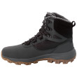 Botas de invierno para hombre Jack Wolfskin Everquest Texapore High M 2022