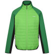 Chaqueta de hombre Regatta Clumber IV Hybrid verde Jasmine Green/Field Green