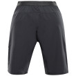 Pantalones cortos de hombre Alpine Pro Zamb