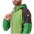 Sudadera de hombre Regatta Attare II