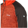 Sudadera de hombre Regatta Coladane V