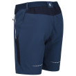 Pantalones cortos de hombre Regatta Mountain ShortsII M