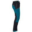 Pantalones de hombre Direct Alpine Mountainer Tech