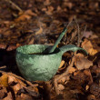 Taza Kupilka Classic Kuksa 210 ml green