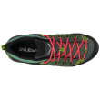 Calzado de mujer Salewa Ws Mtn Trainer Lite Gtx