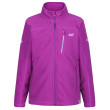 Sudadera para niños Regatta Marlin VI violeta VividViola