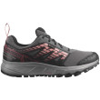 Zapatillas de carrera para mujer Salomon Wander Gore-Tex