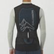 Espaldera Salomon Flexcell Pro Vest