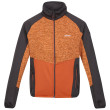 Sudadera de hombre Regatta Coladane V naranja Orange Pepper/Burnt Copper