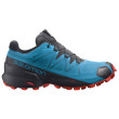 Calzado de hombre Salomon Speedcross 5 GTX