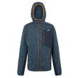 Sudadera funcional de hombre Regatta Alven azul MlDenMrl/Nvy