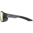 Gafas Uvex MTN STYLE P