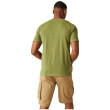 Camiseta de hombre Regatta Rayonner