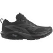 Zapatillas de carrera para mujer Salomon Sense Ride 5 Gore-Tex