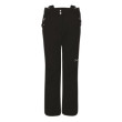 Pantalones de mujer Dare 2b Stand For Pant negro