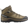 Calzado de hombre Salomon Quest Rove Gore-Tex