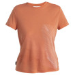 Camiseta funcional de mujer Icebreaker Women Merino Core SS Tee Plume naranja Ember