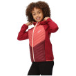 Chaqueta para niños Regatta Kielder HybridVII