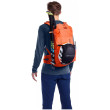 Mochila Ortovox Traverse 20