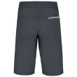 Pantalones cortos de hombre Direct Alpine Solo