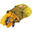 Mochila para niños Deuter Waldfuchs 10