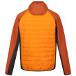 Chaqueta de hombre Regatta Andreson VIII Hybrid