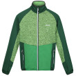 Sudadera de hombre Regatta Coladane V verde Jasmine Green/Field Green