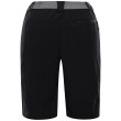 Pantalones cortos de hombre Alpine Pro Zamb