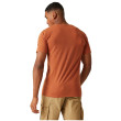 Camiseta de hombre Regatta Cline VIII