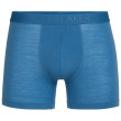 Calzoncillos bóxer para hombre Icebreaker Anatomica Cool-Lite Boxers gris/azul azul