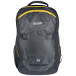 Mochila Regatta Paladen 35L V2