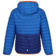 Chaqueta para niños Regatta Jnr Hood Hillpack II