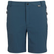 Pantalones cortos de hombre Regatta Mountain ShortsII M azul oscuro MoonLtDn/Nvy