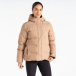 Chaqueta de mujer Dare 2b Entrusted Jacket