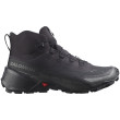 Calzado de senderismo para hombre Salomon Cross Hike 2 Mid Gore-Tex