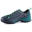 Calzado de mujer Salewa Ws Wildfire Edge Gtx