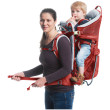 Mochila portabebés Deuter Kid Comfort Active SL