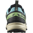 Zapatillas de carrera para mujer Salomon Wander Gore-Tex